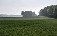 img29